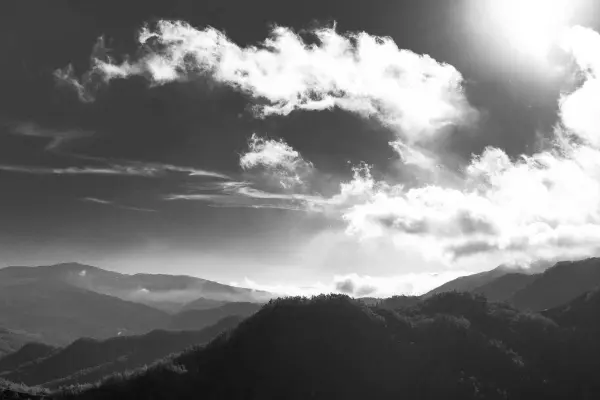 Studio Reef coral-bay